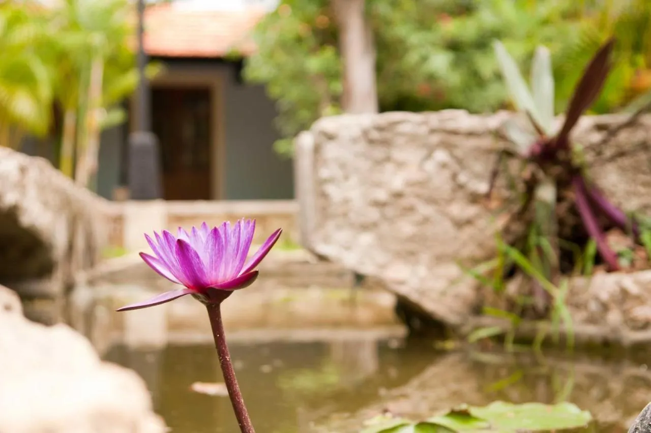 *****  Hotel Hacienda Santuario Noc Ac Mérida México